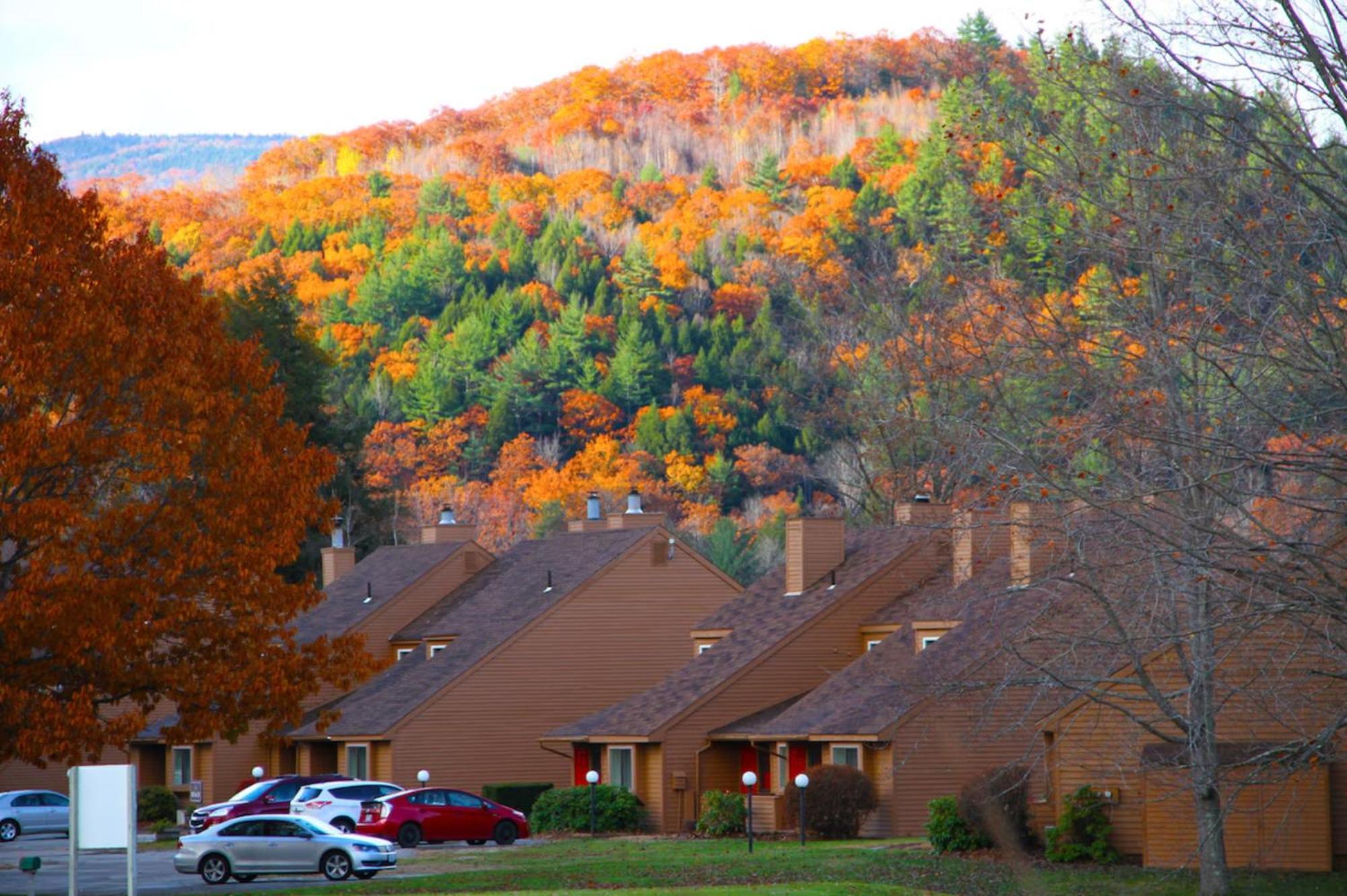 Cold Spring Plymouth Resort Ashland Exteriör bild